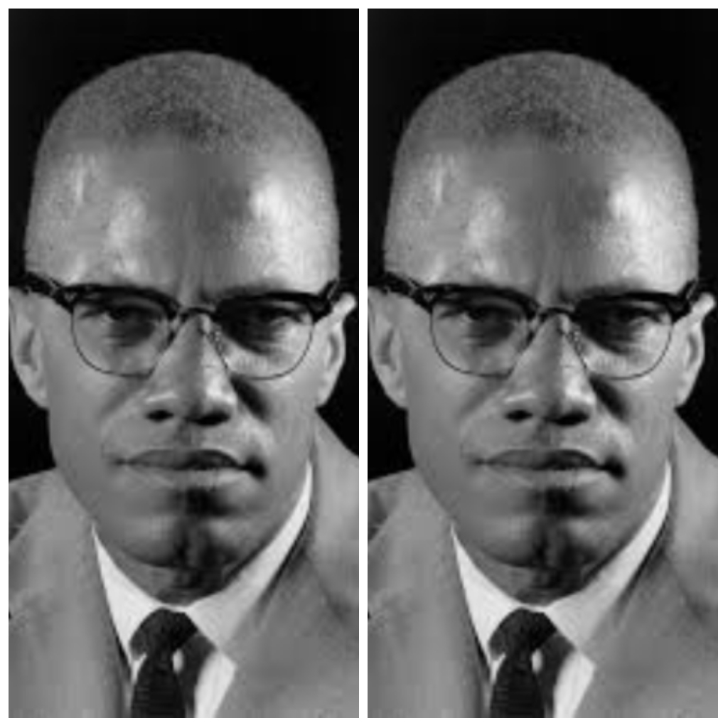 Who was Malcolm X mother?
