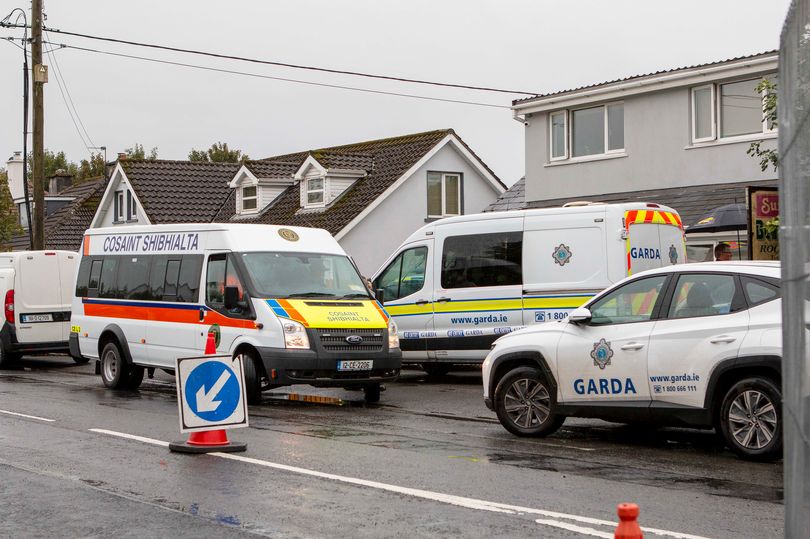 Ukrainian Refugee girl who was stabbed 75 times lucky to have vital organs intact: as screams alerted garda to the scene.