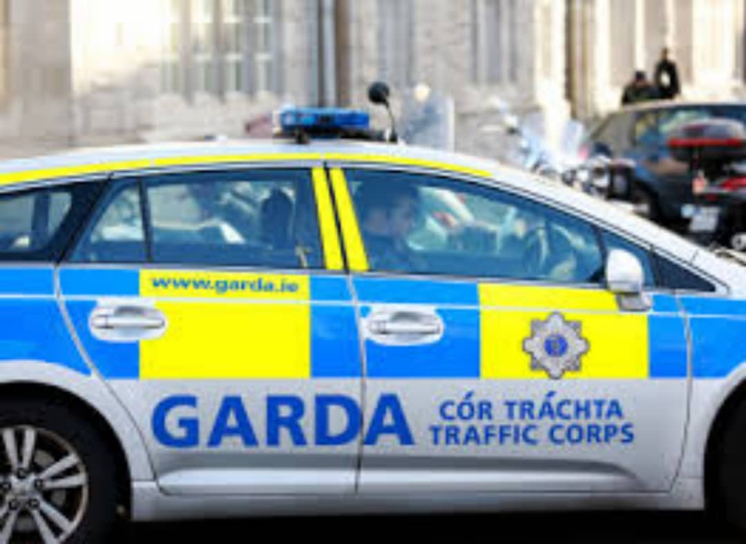 Who is the driver of the van with children that rammed gardai cars in Cork?