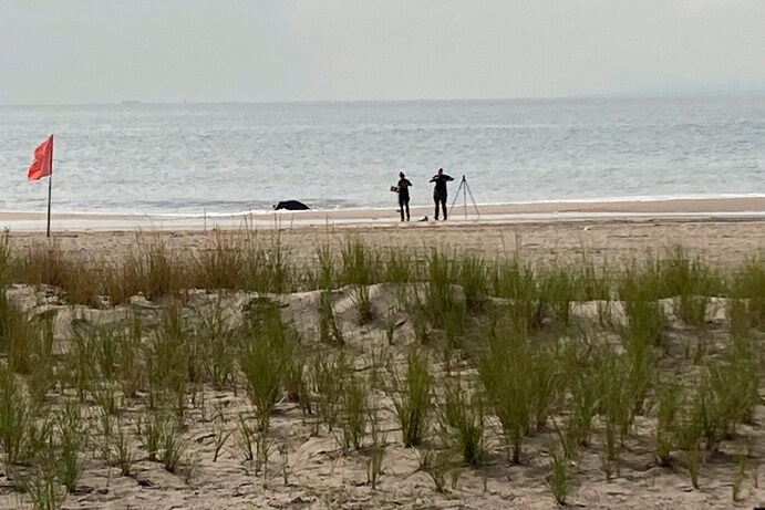 Who is the woman who drowned her 3kids at NYC beach?